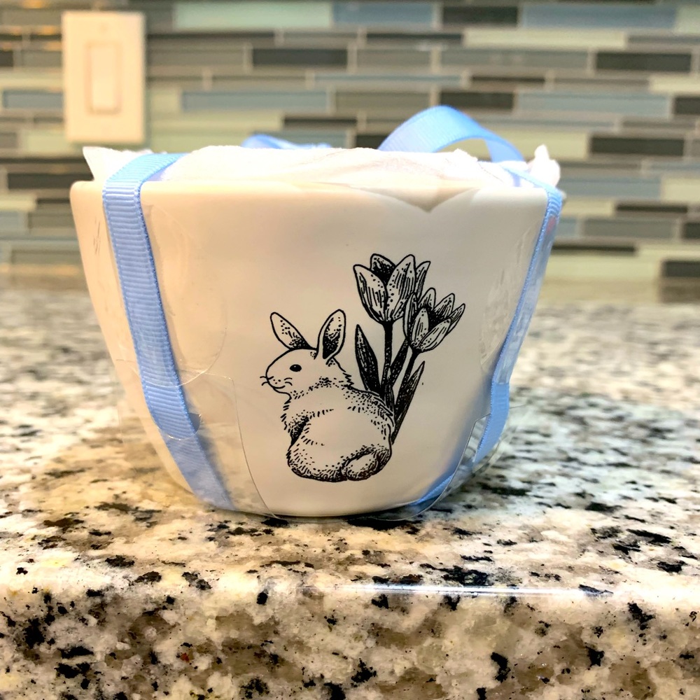 Rae Dunn Artisan Collection 2024 Blue Bunny Sketch Easter Measuring Cups